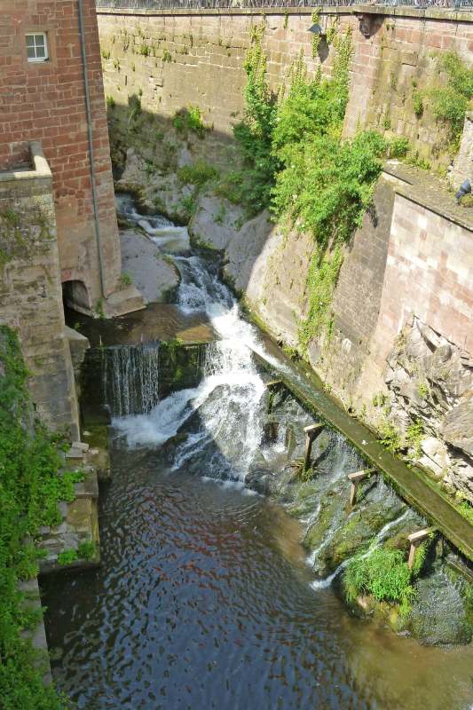 Neuschwanstein juni 2011 - 223